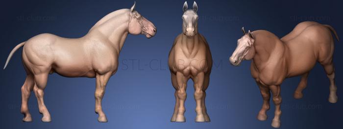 3D модель Тягловая лошадь 2 (STL)
